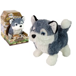 Peluche Mascotte chien Husky interactif qui marche avec son et queue qui remue