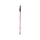 Kijek nordic walking trekingowe kij kije korkowa