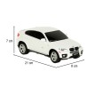 Voiture RC Rastar 31700 BMW X6 1:24 blanc
