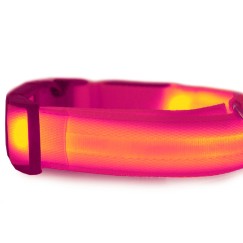 Collier d'éclairage led pour chiens et chats adjustable 59cm
