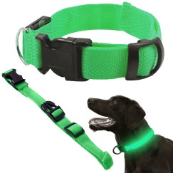 Collier d'éclairage led pour chiens et chats adjustable 59cm
