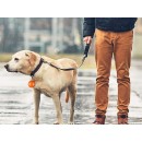 Pendentif Collier led collier chien chat lumière
