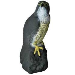 Répulsif oiseaux - faucon