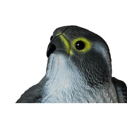 Répulsif oiseaux - faucon