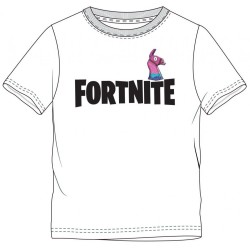 Fortnite children's short t-shirt, top 16 years