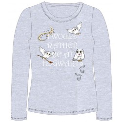 Harry Potter children's long-sleeved shirt 110 cm