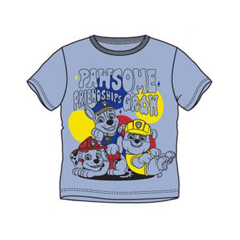 Paw Patrol Friendship children's short t-shirt, top 5 years