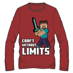 Minecraft children's long-sleeved shirt, top 6 years