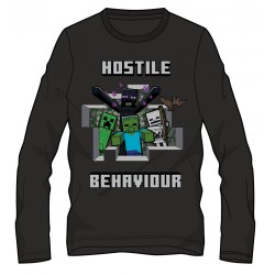 Minecraft children's long sleeve shirt, top 6 years