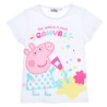 Peppa Pig children's short t-shirt, top 4 years