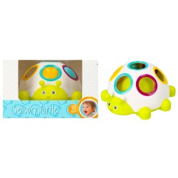 Turtle Turtle Skills Development Toy