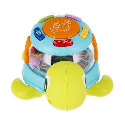 Turtle Turtle Musical Toy