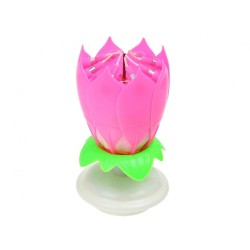 Colour Pink Pink Flower Musical Birthday Candle Set