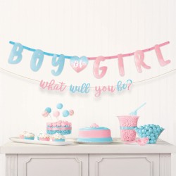 Boy or Girl The Big Reveal 2-piece paper sign