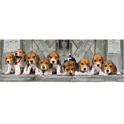 Puzzle panoramique 1000 pièces Chiens Beagles Clementoni