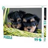 Puzzle Animaux Chien 99 pièces