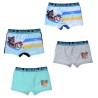 Lot de 2 boxers pour enfants Paw Patrol