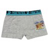 Lot de 2 boxers pour enfants Paw Patrol