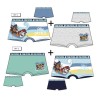 Lot de 2 boxers pour enfants Paw Patrol