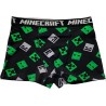 Minecraft children's boxer briefs 2 pieces/pack