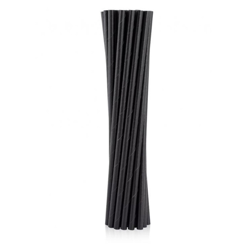 Colour Black Black Paper Straw 12 Pack