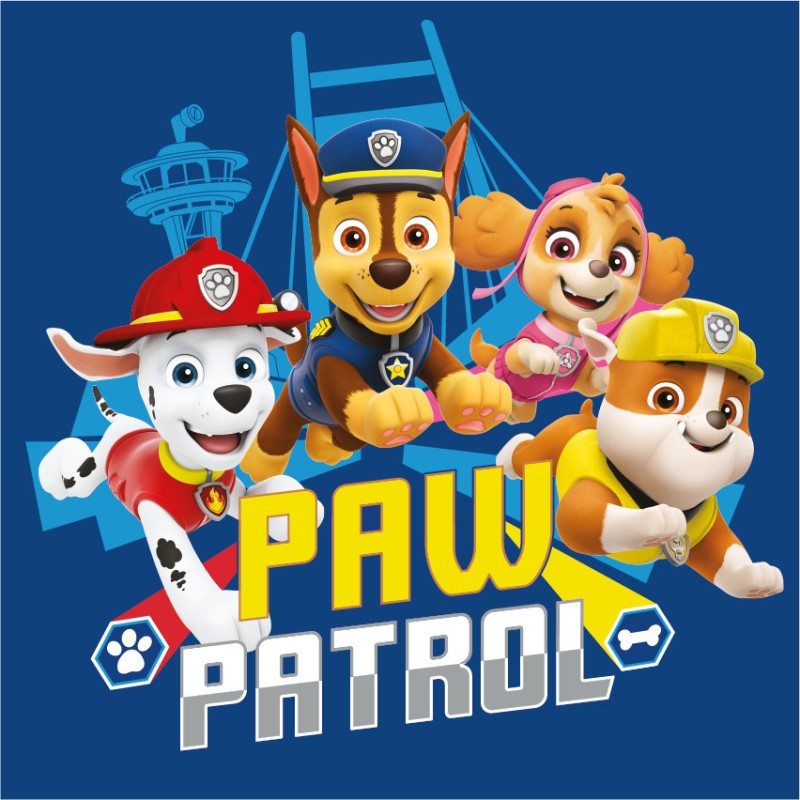 Serviette de toilette Paw Patrol Team, serviette de toilette, serviette 30x30cm