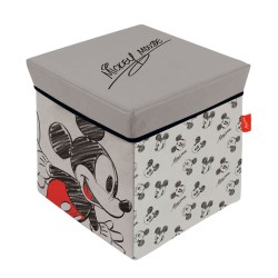 Disney Mickey Grey toy storage 30×30×30 cm