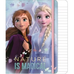 Disney Frozen Hypnotisant l'hiver A/5 ligné 80 pages