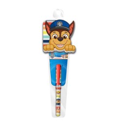 Paw Patrol mini notebook + pen set