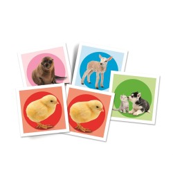 Jeu de mémoire Animaux Baby Clementoni 48 pièces