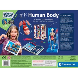 Colour Clementoni Human Body Science Set