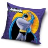 Batman pillowcase 40*40 cm