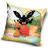 Bing pillow cover 40*40 cm