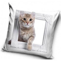 Cat cushion cover 40*40 cm