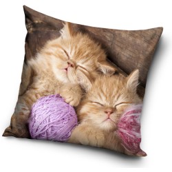 Cat pillowcase 40*40 cm