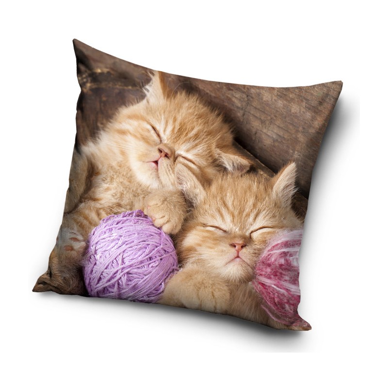 Cat pillowcase 40*40 cm