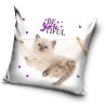 Cat pillowcase 40*40 cm