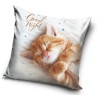 Cat pillow case 40*40 cm