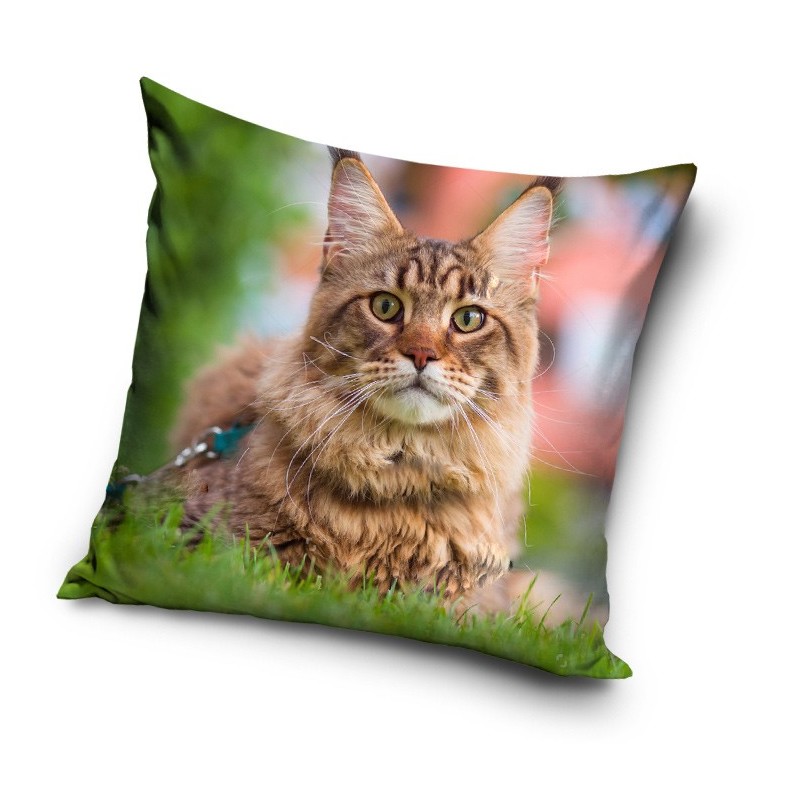 Cat pillow cover 40*40 cm