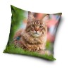 taie d'oreiller chat 40*40 cm