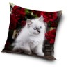 Cat pillow cover 40x40 cm