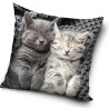 Cat pillow cover 40*40 cm