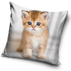 Cat pillowcase 40*40 cm