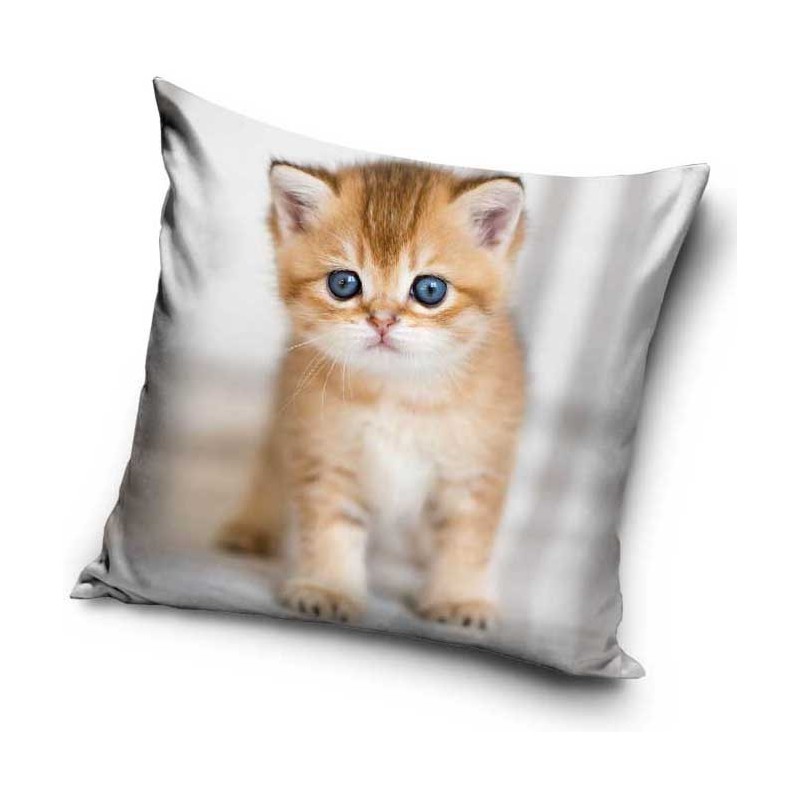 Cat pillowcase 40*40 cm