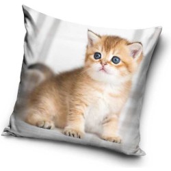 Cat cushion cover 40*40 cm