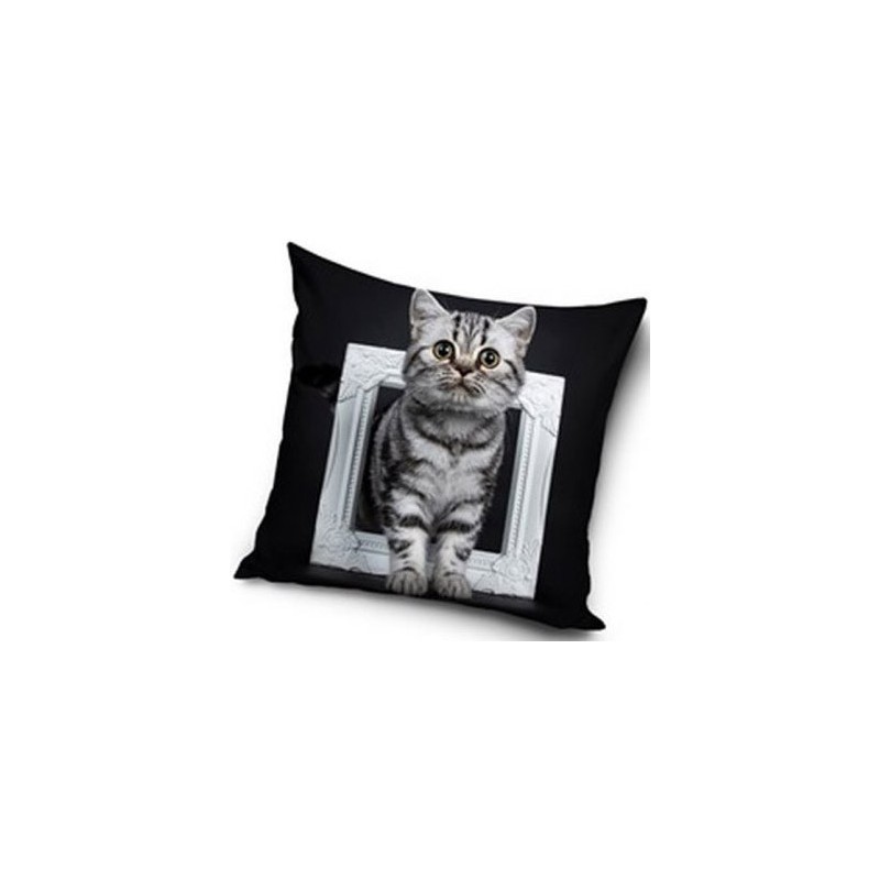 Cat pillowcase 40x40 cm