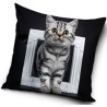 Cat pillowcase 40x40 cm