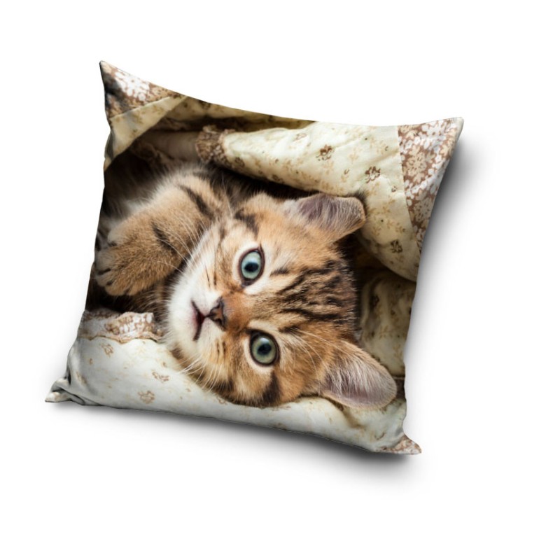 Cat pillowcase 40x40 cm