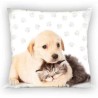 Cat Dog Friends cushion cover 40x40 cm