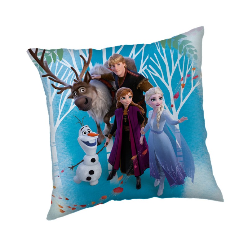 Disney Frozen Family velvet cushion cover 40x40 cm